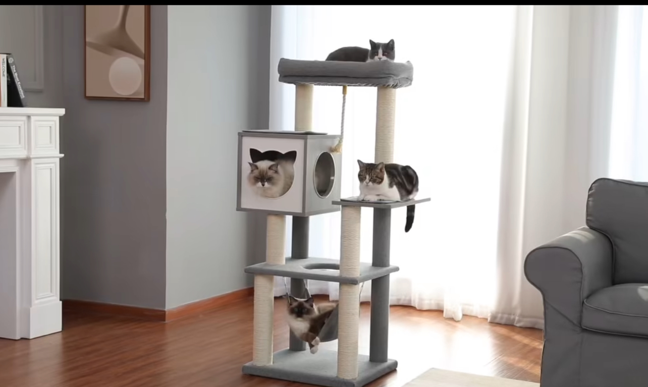 猫がくつろぐキャットタワー